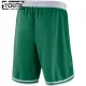 Nike Dječji Kratke Hlače Boston Celtics Icon Edition Swingman