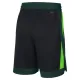 Nike Muški Kratke Hlače Boston Celtics City Edition 2024/25 Swingman