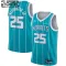 Dječji Dres Charlotte Hornets PJ Washington 25 Jordan Icon Edition Swingman Teal