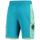 Jordan Muški Kratke Hlače Charlotte Hornets City Edition 2023/24 Swingman Teal