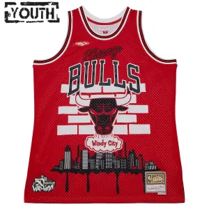 Dječji Dres Chicago Bulls Mitchell Ness x Tats Cru Edition Hardwood Classics 2023/24 Swingman Crvena