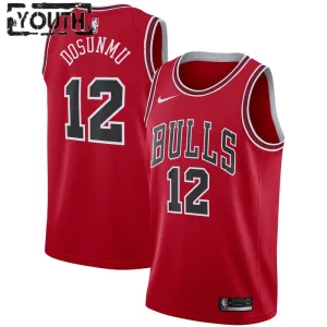 Nike Dječji Dres Chicago Bulls Ayo Dosunmu 12 Icon Edition Swingman Crvena