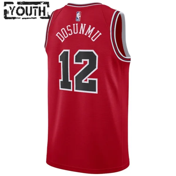 Nike Dječji Dres Chicago Bulls Ayo Dosunmu 12 Icon Edition Swingman Crvena