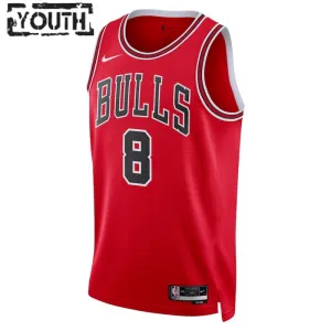 Nike Dječji Dres Chicago Bulls Zach Lavine 8 Icon Edition Swingman Crvena