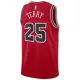Nike Muški Dres Chicago Bulls Dalen Terry 25 Icon Edition Swingman Crvena