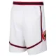 Nike Muški Kratke Hlače Houston Rockets City Edition 2024/25 Swingman