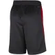Nike Muški Kratke Hlače Miami Heat City Edition 2023/24 Swingman